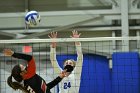 VB vs ENC  Wheaton College Women's Volleyball vs Eastern Nazarene College. - Photo By: KEITH NORDSTROM : Wheaton, volleyball, VB, Eastern Nazarene College